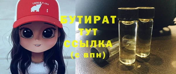 шишки Магас