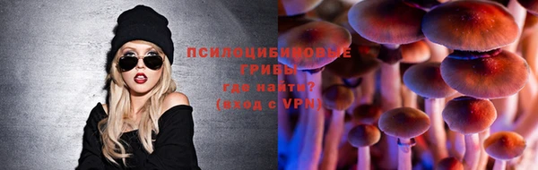 твердый Майский