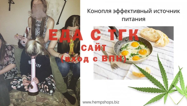 спиды Богородицк
