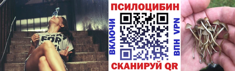 Галлюциногенные грибы прущие грибы  Вилюйск 